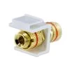 NavePoint Banana Jack Keystone Gold W/Red Indicator White 10-pack -Server Cabinet Accessories 00401530 2 01949.1636141690