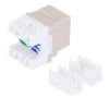 CAT5E Keystone Jack, Snap-In, 180-Degree Termination, Thermoplastic , Light Almond, 15-Pack, CE Compliant 1 CAT5E Keystone Jack, Snap-In, 180-Degree Termination, Thermoplastic , Light Almond, 15-Pack, CE Compliant -Server Cabinet Accessories 00407011 1 84383.1655911762