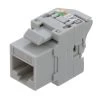 CAT6A Unshielded Toolless Keystone Jack, 10 Pack, Grey 2 CAT6A Unshielded Toolless Keystone Jack, 10 Pack, Grey -Server Cabinet Accessories 00407184 1 83004.1682015702